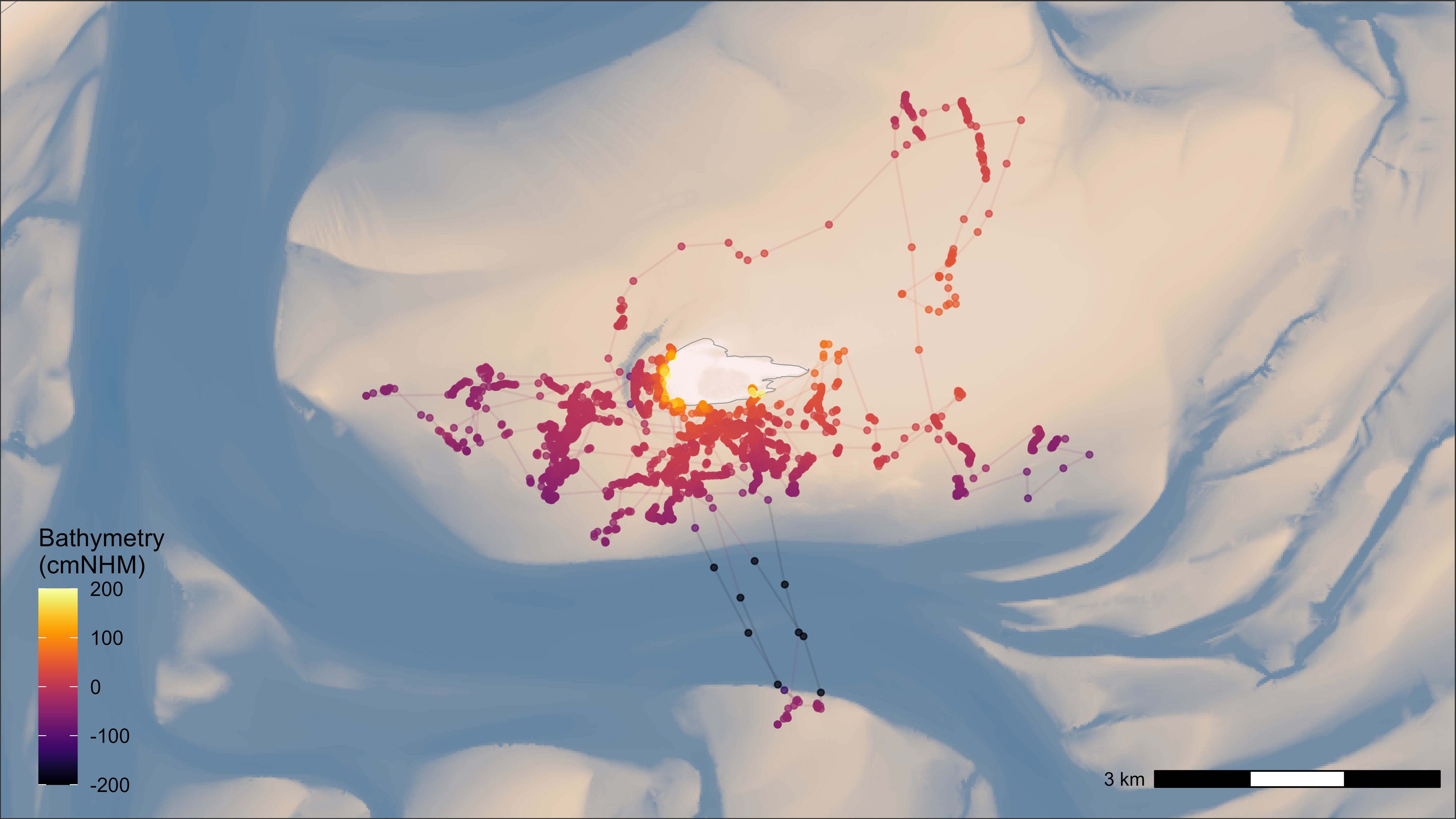 Movement tracks colored with bathymetry data