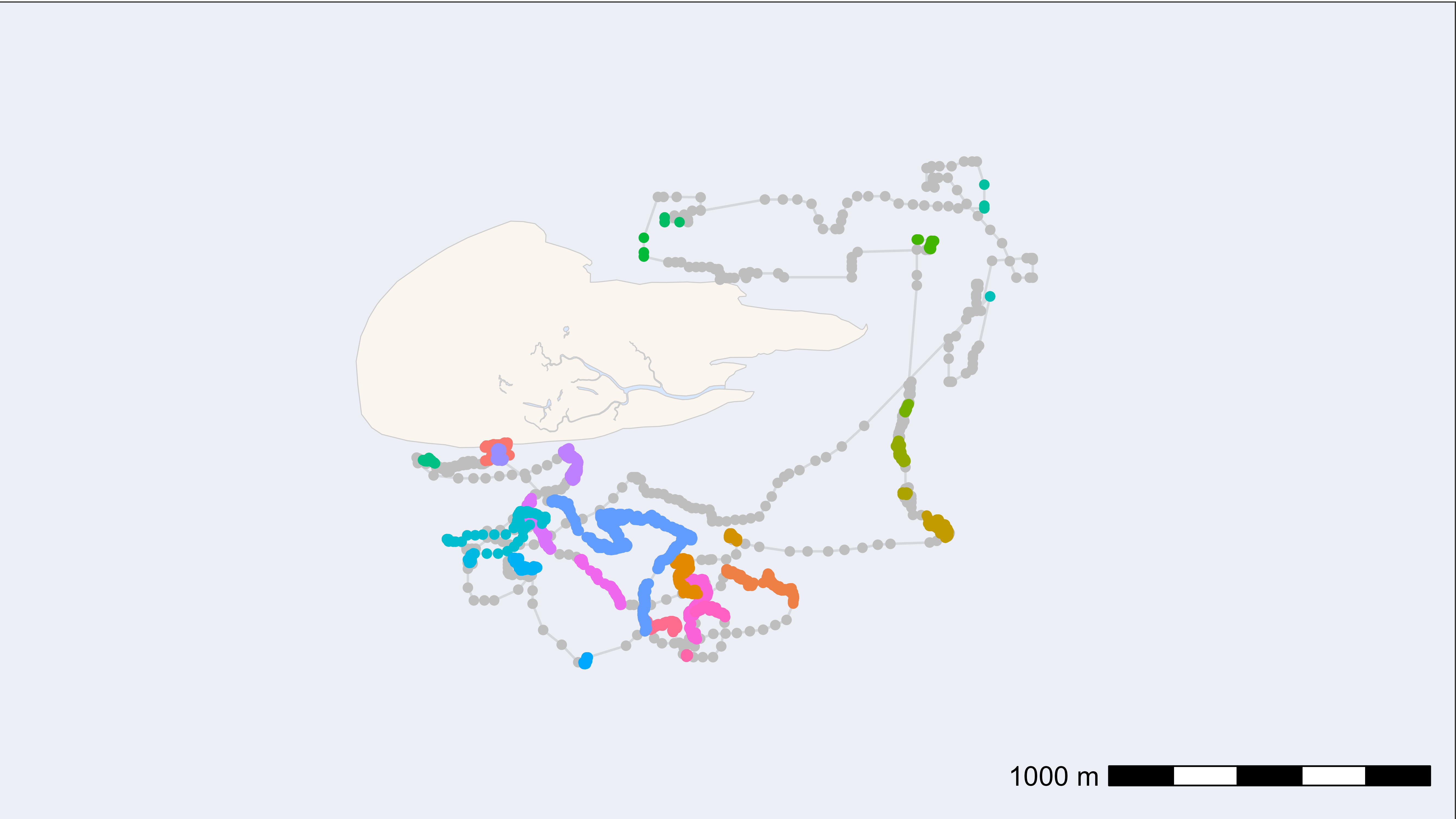 residence patches within track colored by ID