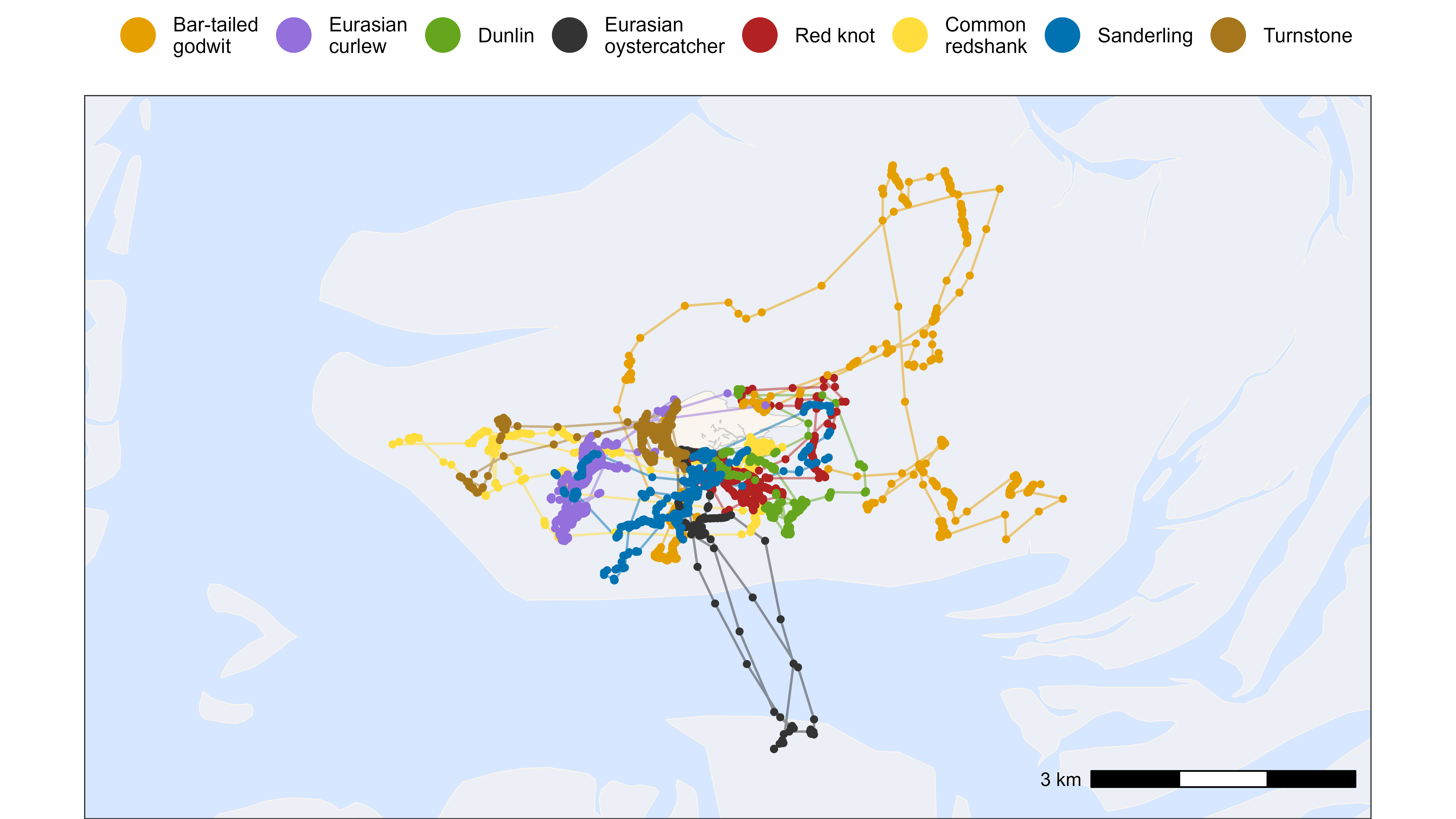 Points and tracks of multiple species on basemap