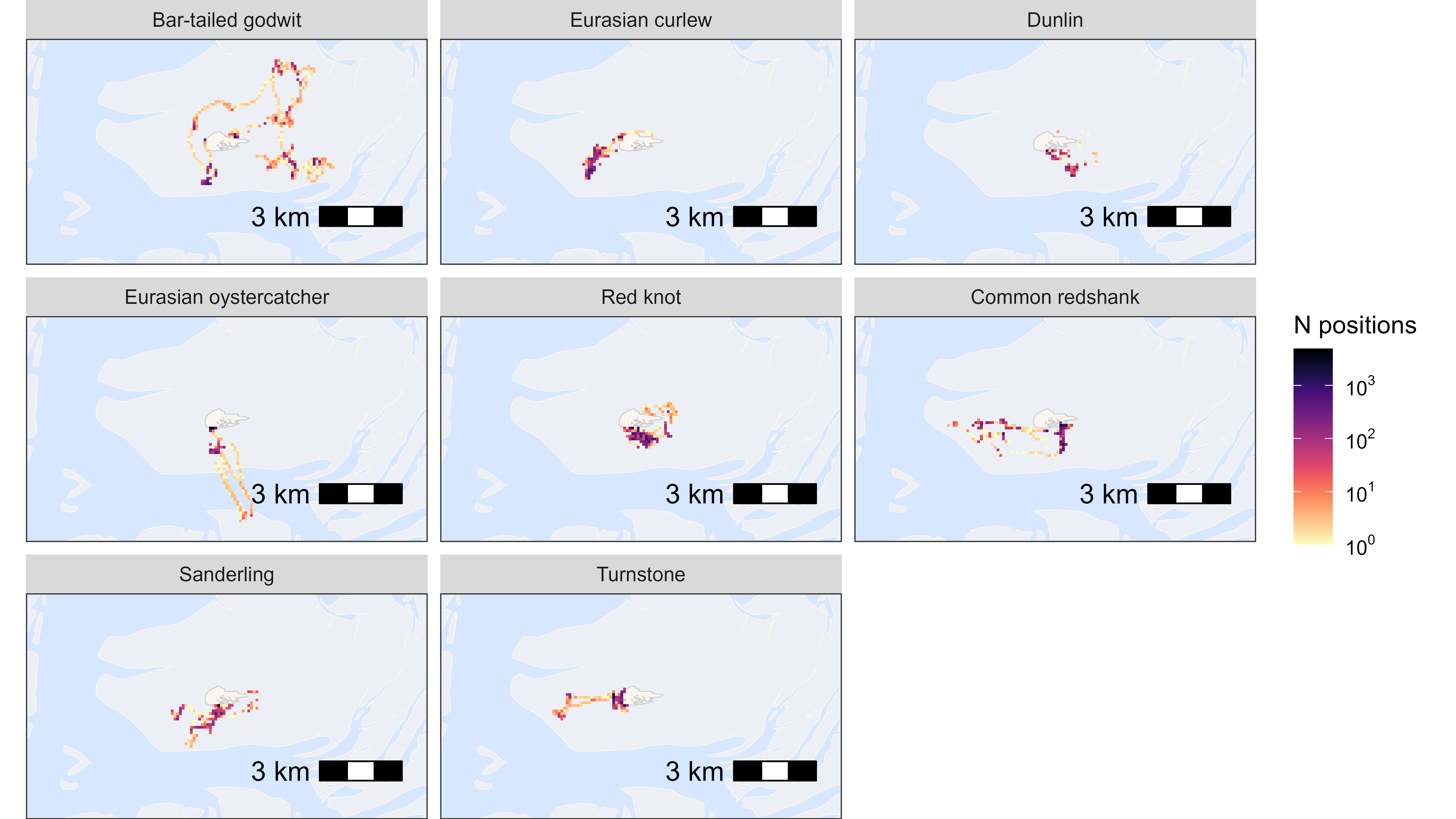Heatmap of all positions by species