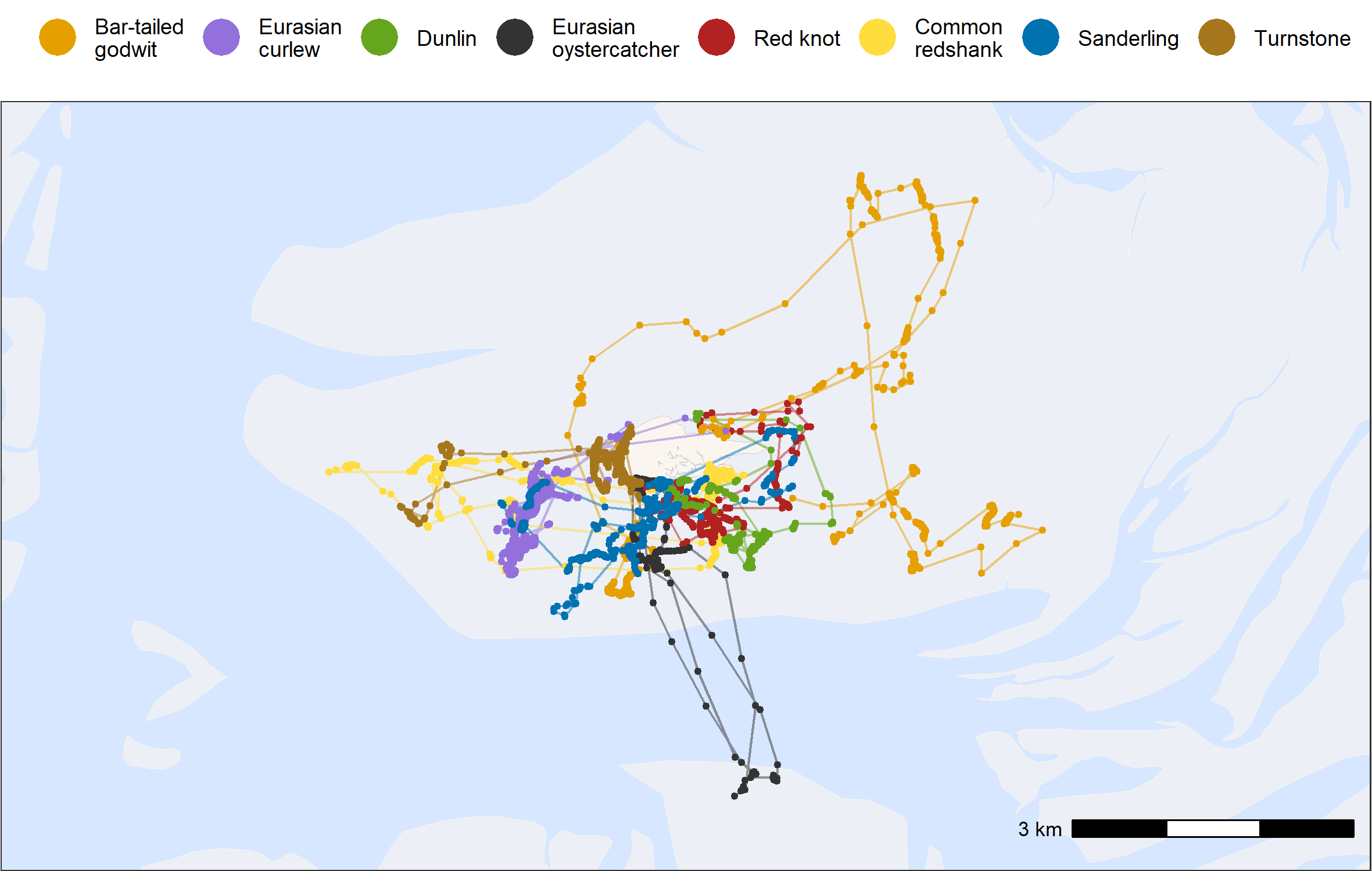 Example tracks with one individual by species for two tide cycles